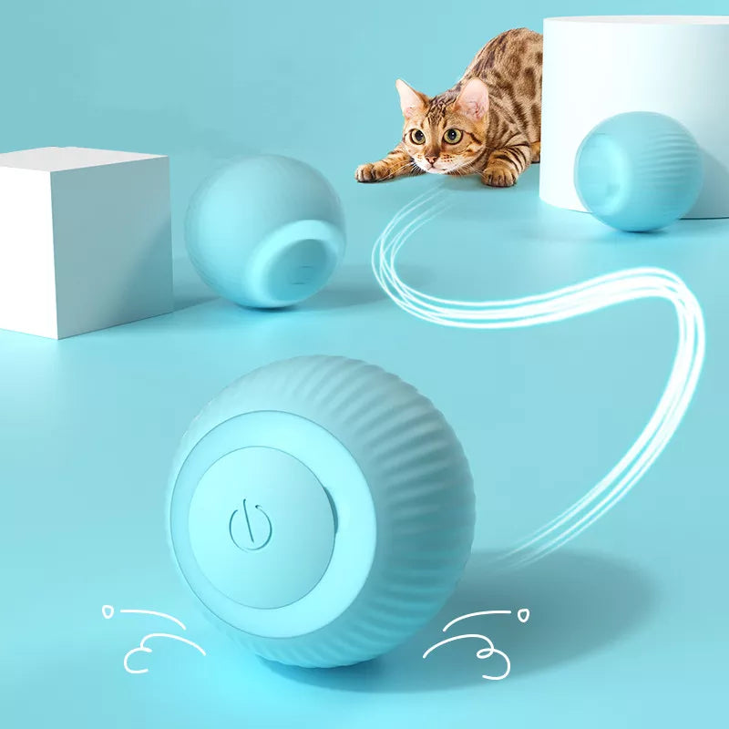 Brinquedo de bola elétrica para gatos