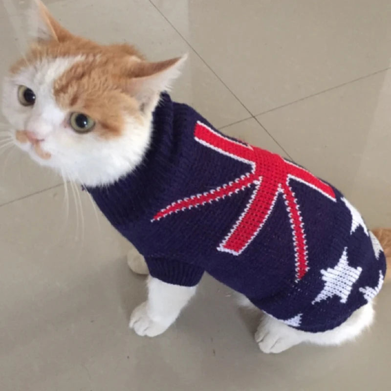 Roupa de inverno para cachorro e gatos