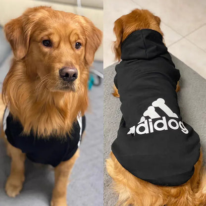 Moletom para Cachorro