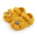 44676495900895|44676495933663|44676495966431|44676495999199|44676496031967|44676496064735