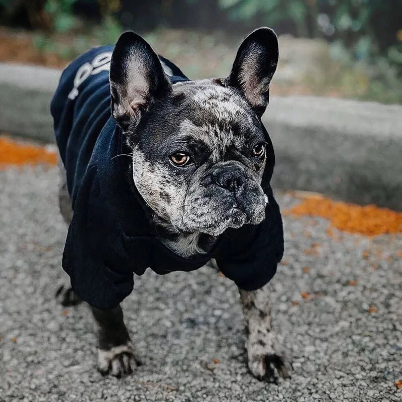 Moletom para Cachorro