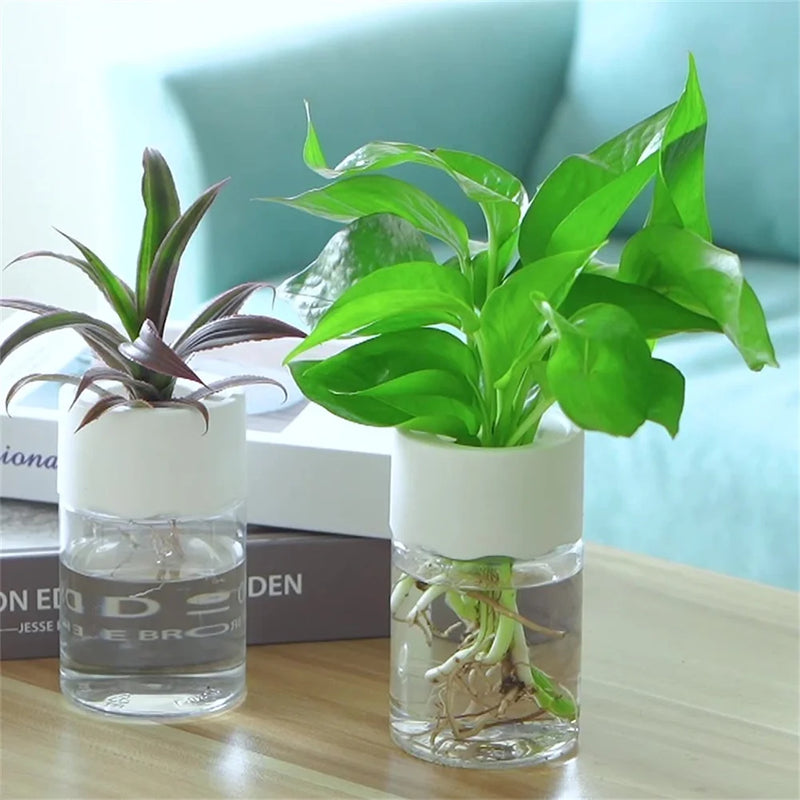 Mini vaso de plantas hidropônicas