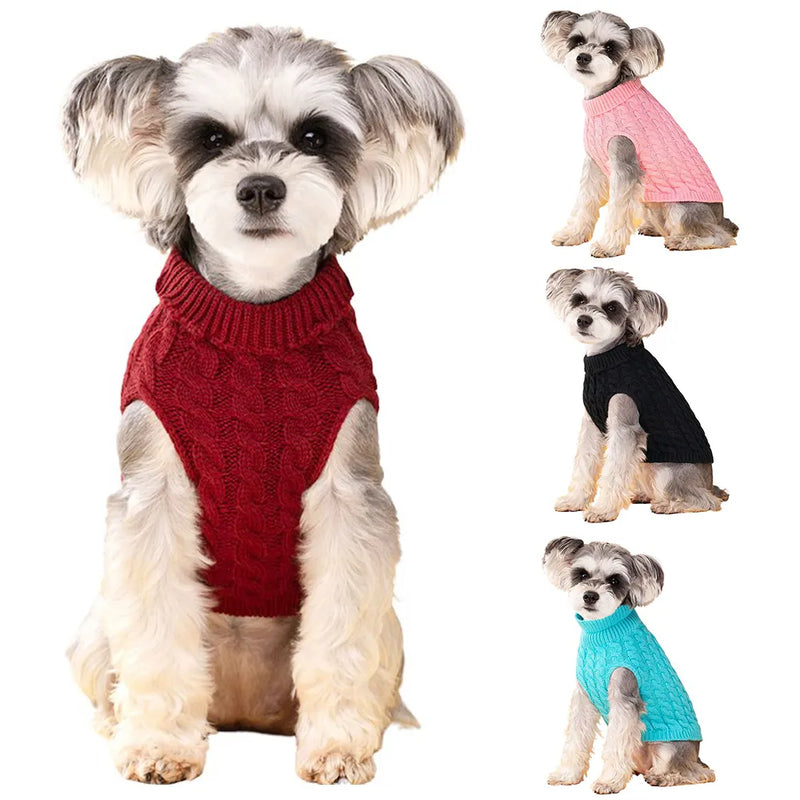 Camisa de lã para cachorro