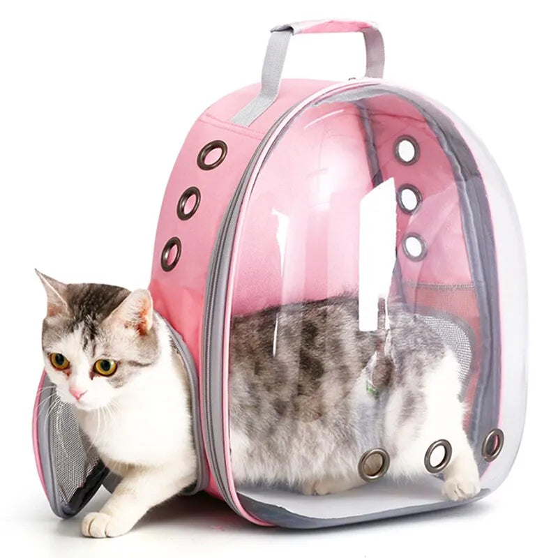 Mochila transparente para gatos