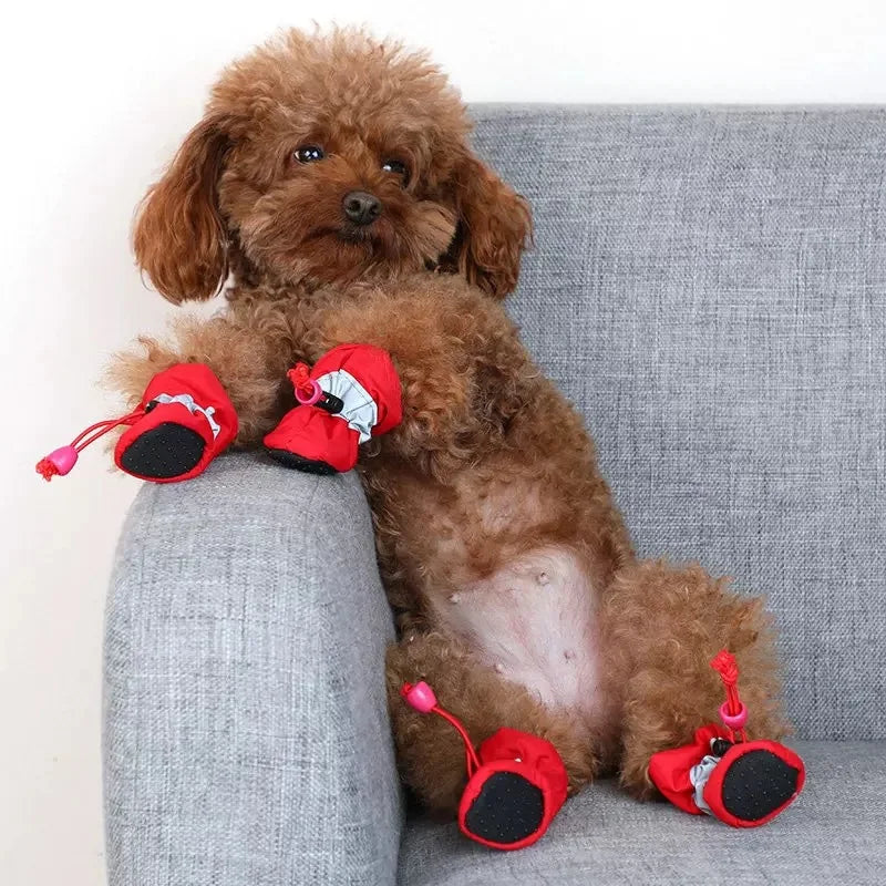 Botas de chuva antiderrapantes para cães e gatos